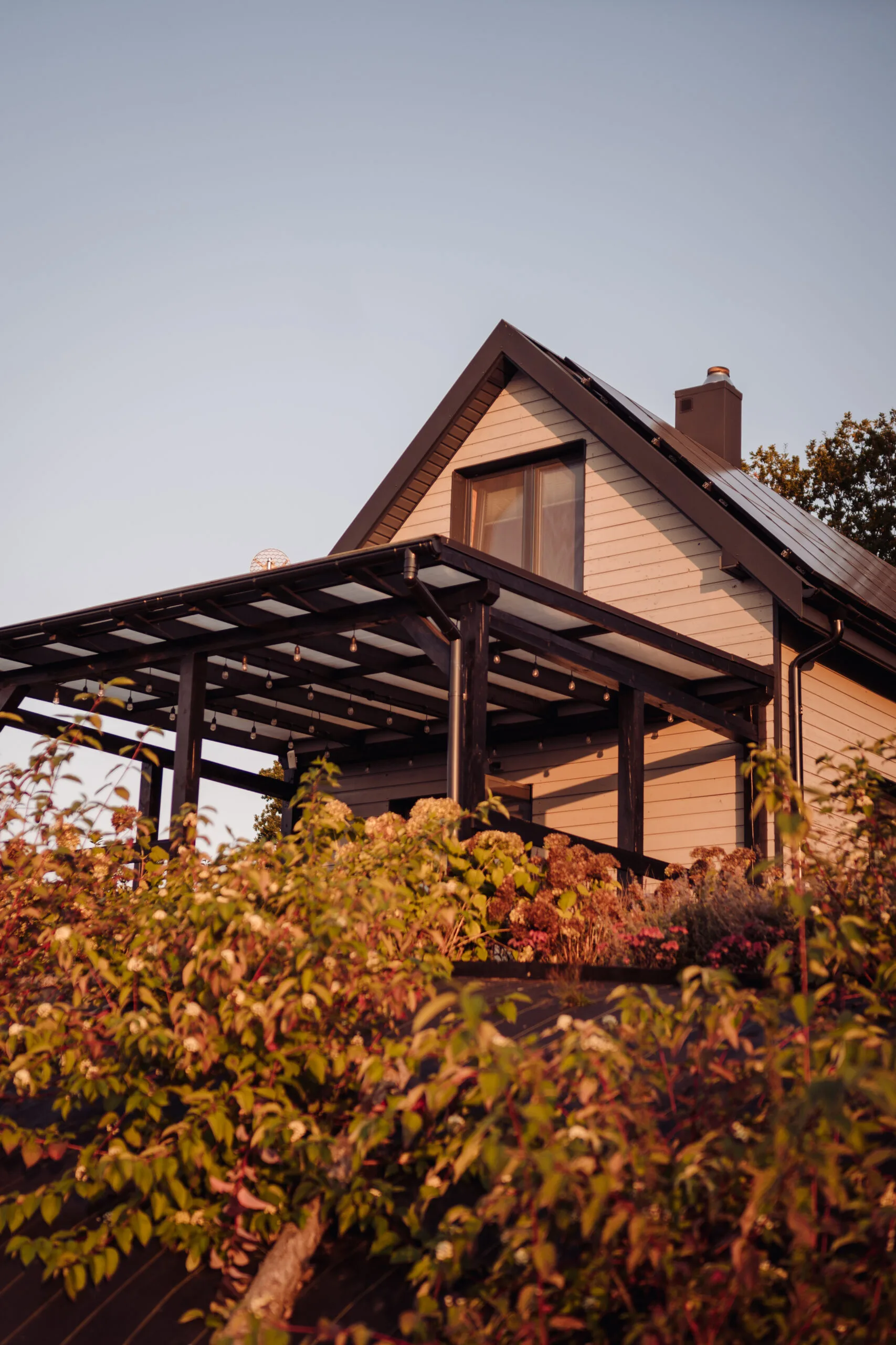 Chabry i Rumianki fot Marta Papis 92