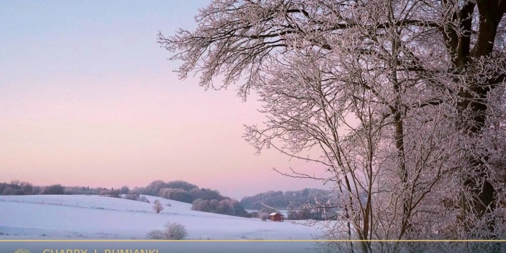 domki-na-odludziu-kaszuby-final