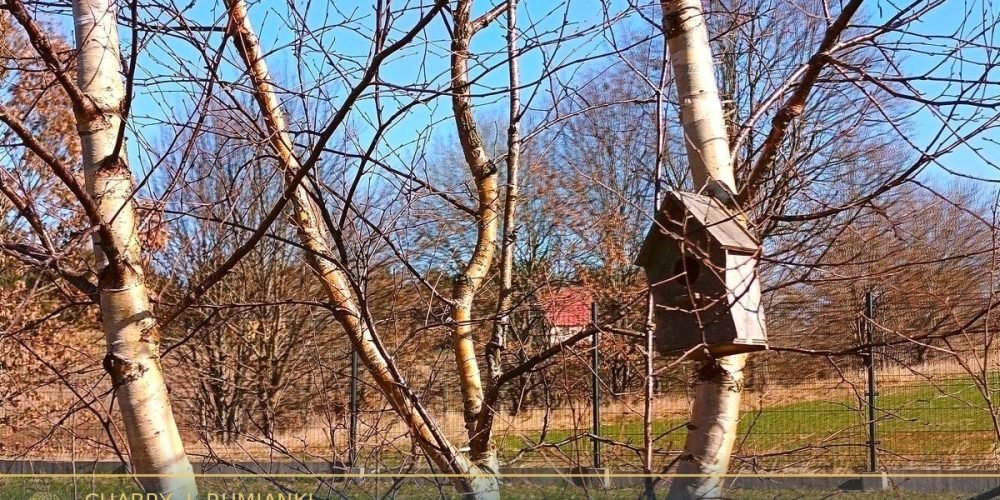 noclegi-45-min-od-gdanska-final